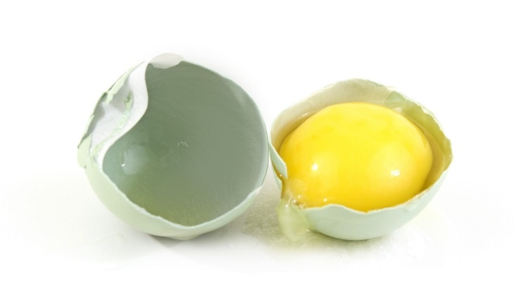 egg with yellow yolk