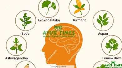 10 Best Herbs for Dementia