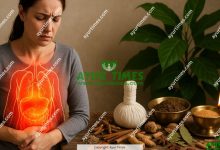 Chronic Inflammation and Ayurveda