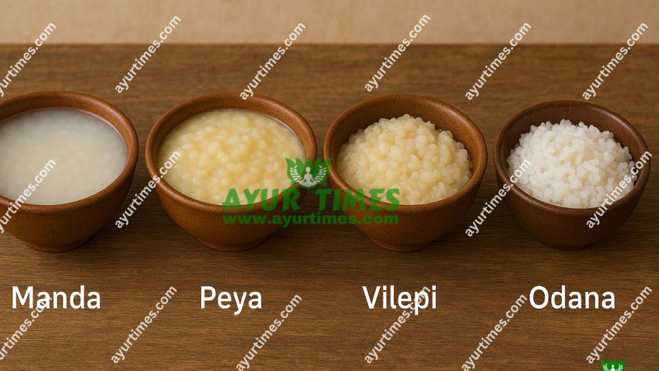 Rice Preparations in Ayurveda: Understanding Manda, Peya, Vilepi, and Odana Types of Rice Preparations in Ayurveda: Understanding Manda, Peya, Vilepi, and Odana
